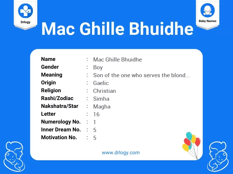 Mac Ghille Bhuidhe Name Meaning